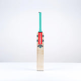 Gray-Nicolls Ventus 1.0 Power