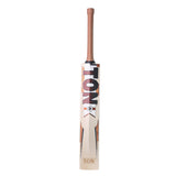 SS Ton Gusty Cricket Bat