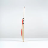 Gray-Nicolls NeoCore 500 Bat