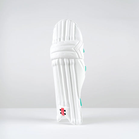 Gray-Nicolls Pad Ventus 1.0