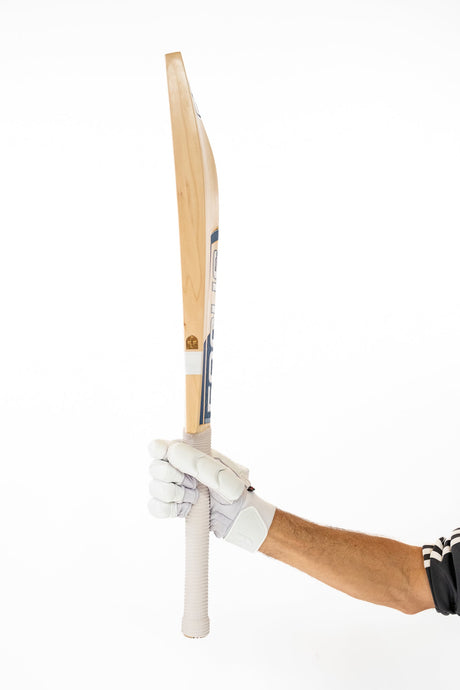 Focus Select Evo Edition Cricket Bat