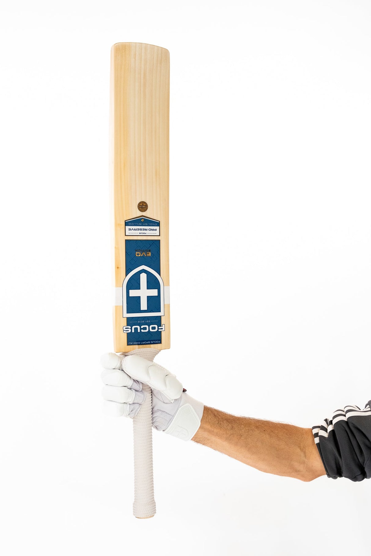 Focus Select Evo Edition Cricket Bat