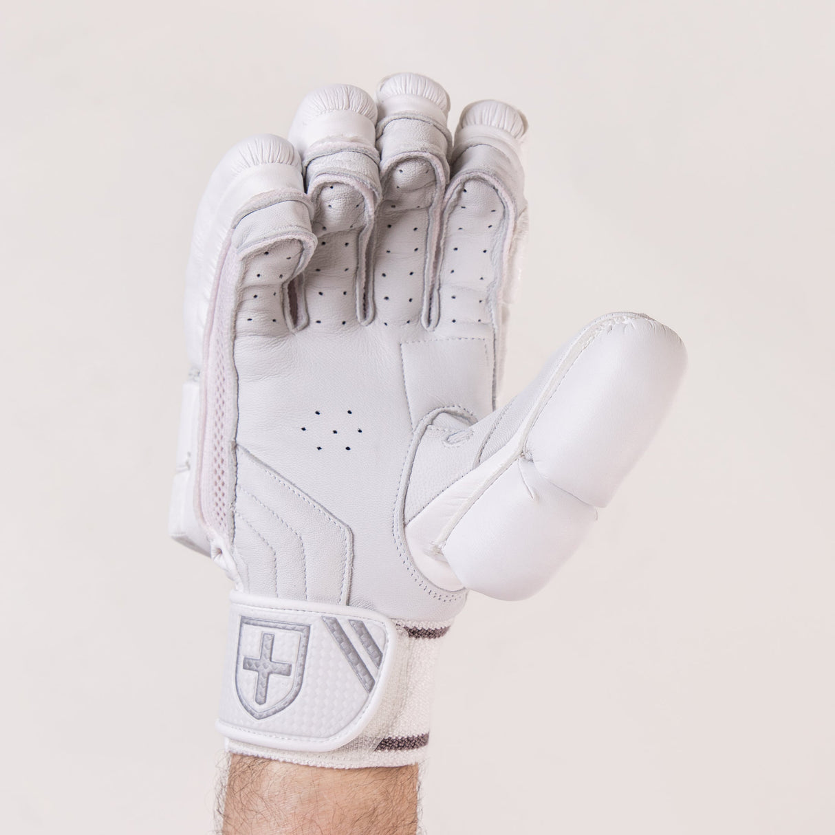 Focus Gloves Limited Edition Batting Gloves