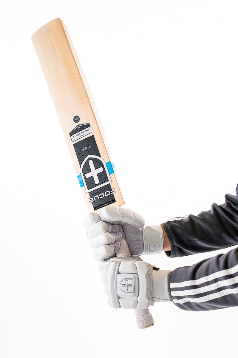 Focus Pure Select Cricket Bat